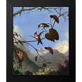 thumbnail image 2 of Heade, Martin Johnson 15x18 Black Modern Framed Museum Art Print Titled - Amethyst Woodstar, 2 of 5