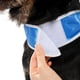 thumbnail image 4 of Chaleco de enfriamiento de verano para perros pequeños, medianos y grandes con arnés de orificio Tira reflectante de seguridad Chaqueta de malla Abrigo Perro Cachorro Ropa de perro de enfriamiento Amarillo ER, 4 of 5