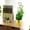 A, variant on Dvkptbk Shelf Shelf Iron Garden for Climbing Plants Rust-Proof Small for Indoor Potted Plants Love Round Circle Metal Plant Support Home Decoration