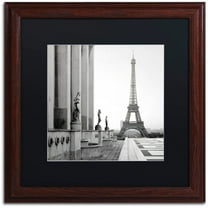 Trademark Fine Art "Tour Eiffel 5" Canvas Art by Alan Blaustein, Black Matte, Wood Frame