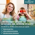 thumbnail image 4 of Probiotic 30 Billion CFU Intestinal Flora, Support Healthy Digestive & Immune System, Gastrointestinal Healthy - 120 Capsules, 4 of 7