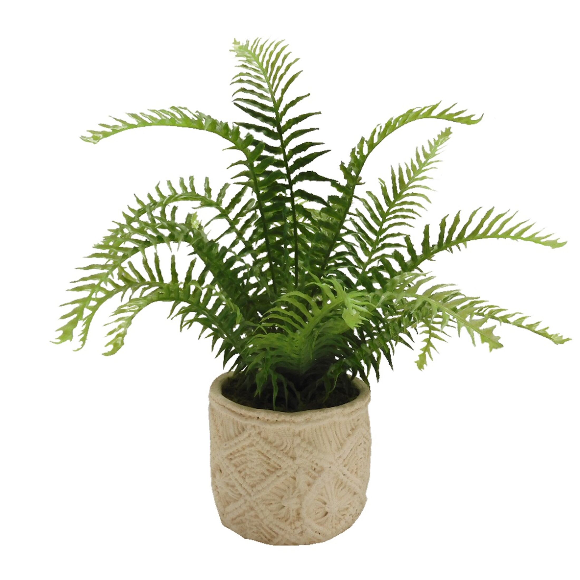 Elements 18 inch Fern in Embossed Cement Pot Green