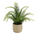 thumbnail image 6 of Elements 18 inch Fern in Embossed Cement Pot Green, 6 of 7