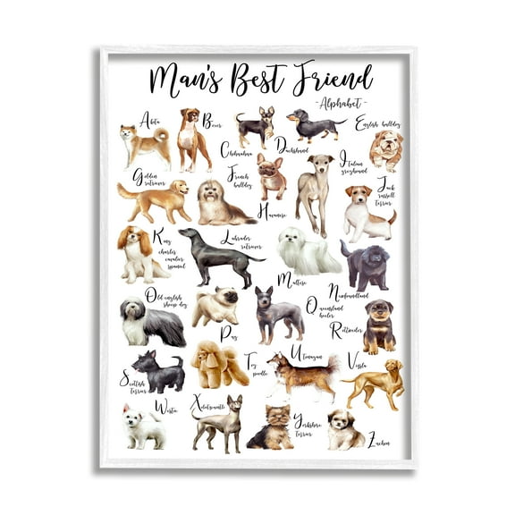 Stupell Industries Man's Best Friend Alphabet Playful Dog ABC Chart Animals & Insects Painting White Framed Art Print Wall Art, 16 x 20