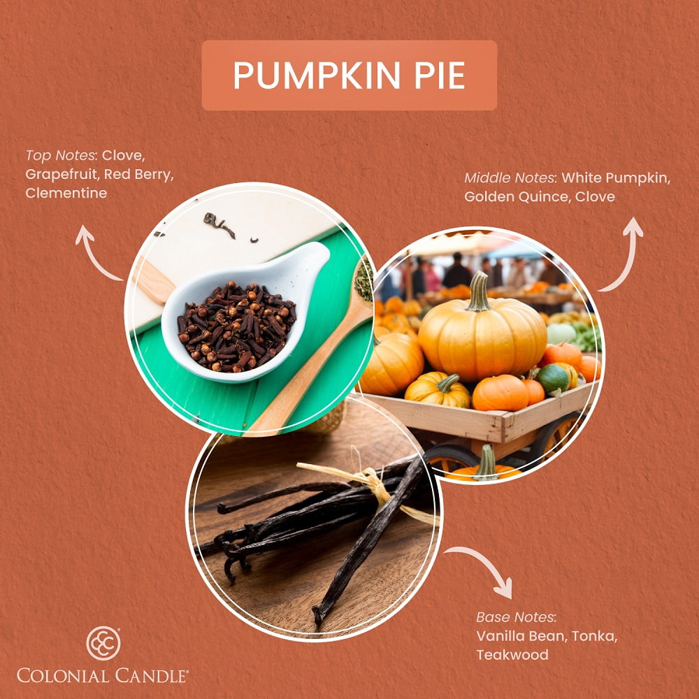2.75oz Wax Melt Pumpkin Pie