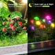 thumbnail image 3 of Big sale 2 PC 5 LED Solar Lights Rose Lights Outdoor Waterproof Garden Lights Festive Atmosphere Decorative Lights Inserted Lights, 3 of 4