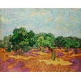 thumbnail image 2 of Van Gogh, Vincent 24x20 Black Ornate Wood Framed with Double Matting Museum Art Print Titled - Olive Trees (1889), 2 of 4