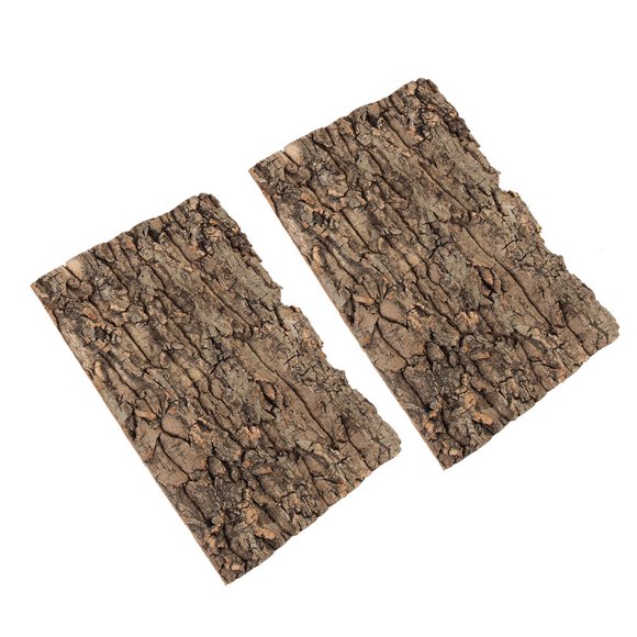 SOPOTUTU 2Pcs Lizard Terrarium 11.8x7.9x0.8in