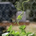 thumbnail image 6 of YardGard 48" x 25’ 2 inch Mesh Hexagonal Poultry Netting Wire Fence, 6 of 6