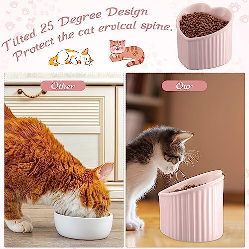 2 Pcs Ceramic Elevated Cat Bowls Tilted Elevated Raised Pet Bowls Anti Vomit Cat Dish for Indoor Stress Free Water Dish Feeder for Puppies, Heart Shaped(Pink)