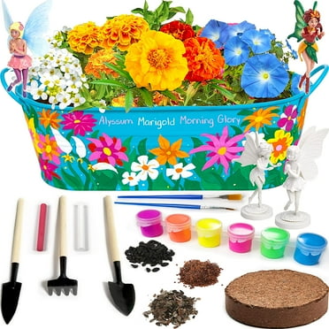Dan&amp;Darci DIY Build &amp; Paint Plant Flower Growing Kit for Kids ...