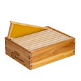 thumbnail image 1 of BeeCastle Caja Super Media para Colmena de 10 Marcos con Cera, 1 of 6