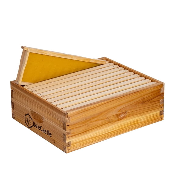 BeeCastle Caja Super Media para Colmena de 10 Marcos con Cera