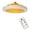 Orange, variant on Ceiling Fan with Light Modern with Remote Control Smart LED Dimmable Lighting Indoor Low Profile Ceiling Fan Flush Mount