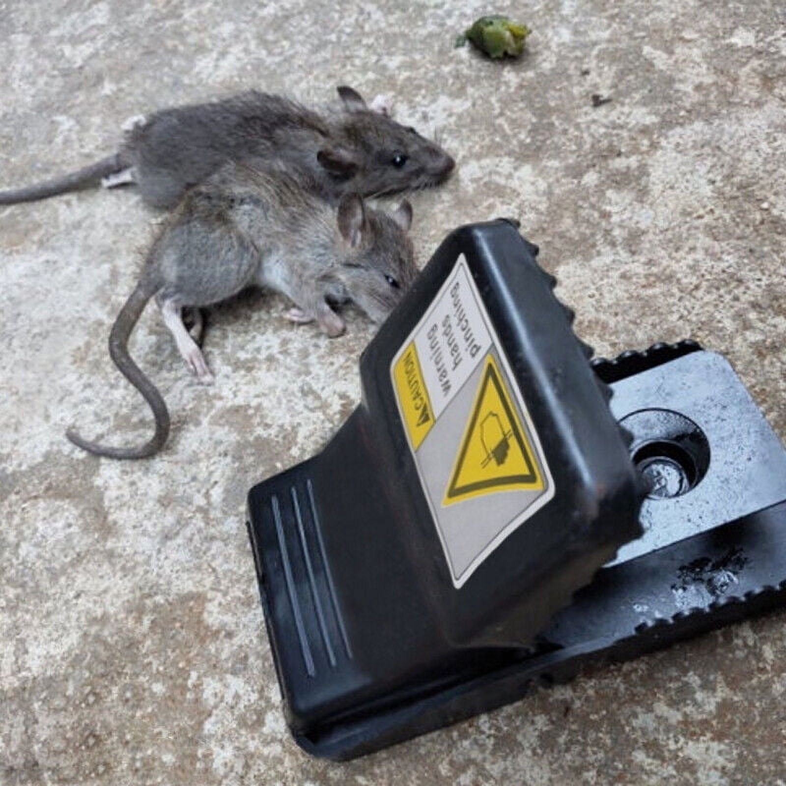 Kryc 20 Pcs 6 X 3 Large Size Mouse Trap Pest Control Rat Trap Outdoor  Reusable Humane Mouse Catcher Effective Sanitary Quick Easy Snap Humane  Rodent