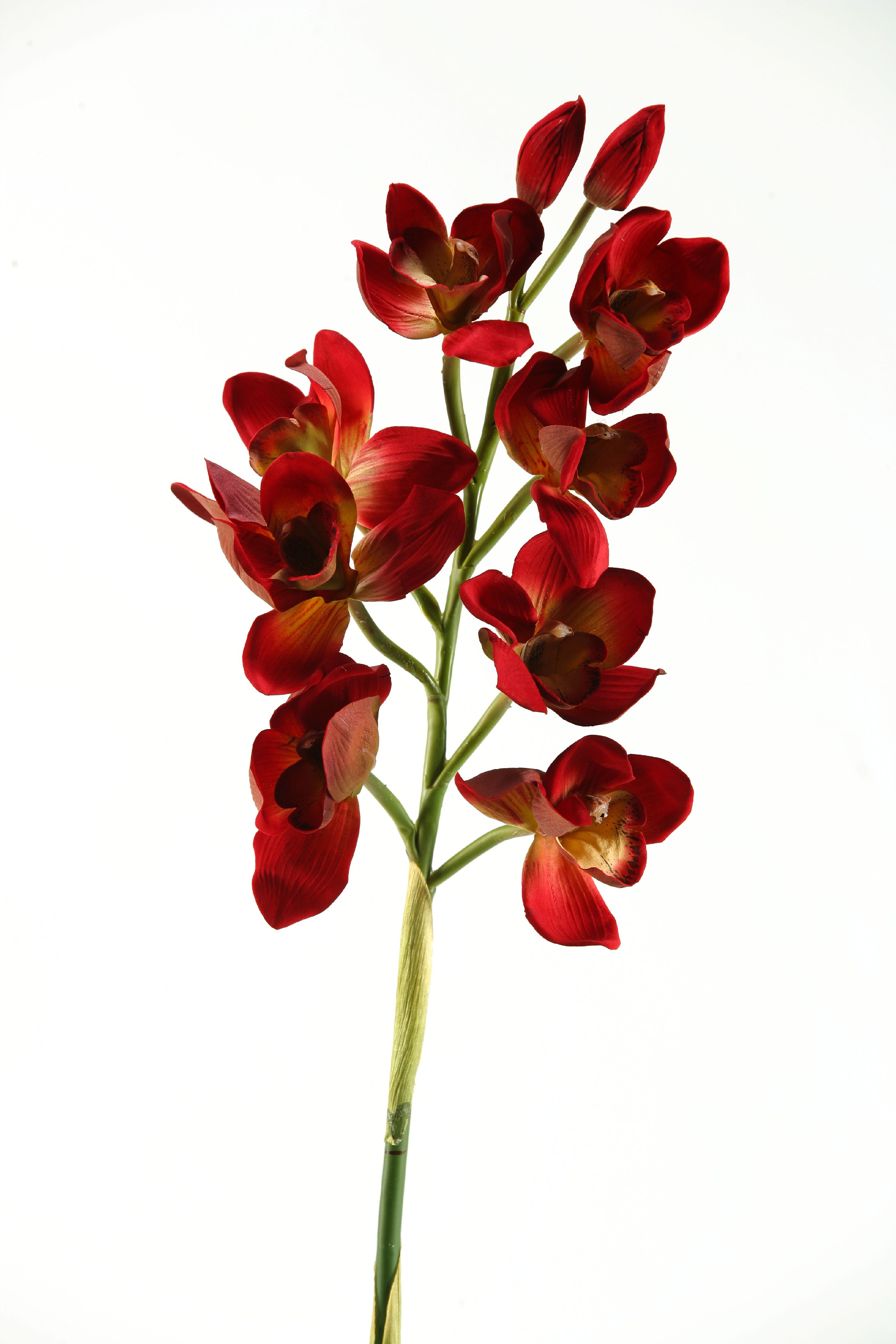 D&W Silks Cherry Red Cymbidium Orchid Stem Set of 3