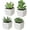 Assortment #3, variant on Assorted Artificial Red Succulent Plants, Mini Fake Desert Plants in White Square Pots, Set of 3