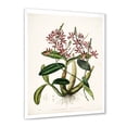 thumbnail image 2 of Designart 'Ancient Plant Life VII' Traditional Framed Art Print, 2 of 4