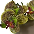 thumbnail image 2 of Nearly Natural 7" Phalaenopsis Orchid Artificial Flower Arrangement, Set of 3, Multicolor, 2 of 3