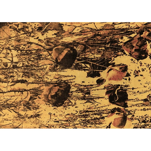 Ahgly Company Indoor Rectangle Oriental Brown Industrial Area Rugs, 2' x 4'