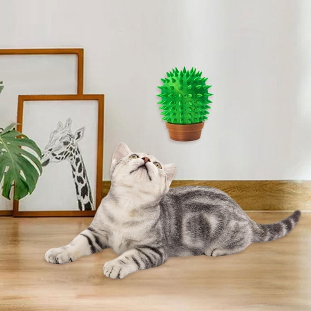 Cepillo rascador para gatos,Rascador de esquina para gatos,cepillo de aseo para mascotas,juguete,Cepillo rascador de pelo de cactus con estilo,Suministros para gatitos de interior de pelo largo
