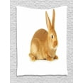 thumbnail image 1 of Bunny Tapestry, Fluffy Rabbit Sitting on a White Background Friendly, Wall Hanging for Bedroom Living Room Dorm Decor, 40W X 60L Inches, Caramel Brown, by Ambesonne, 1 of 2