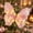 Hot Pink, variant on Cififendec Christmas Large Lighted Butterfly Ornament, Illuminated Fabric Butterfly Hanging Decor with Pearl Accent for Xmas Tree Hanging, 18.9"