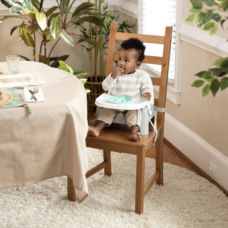 Ingenuity Deluxe Learn-to-Dine Feeding Seat, 6–36 Months photo 5