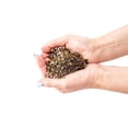 thumbnail image 4 of Gardenera Labs Premium Organic Potting Soil, Succulent & Cactus Soil Mix, Fast Draining Pre-Mixed Blend - Horticultural Perlite (25%) + Peat Moss (75%) - Made in USA - 1 Quart, 4 of 7