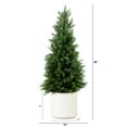 thumbnail image 2 of Nearly Natural Potted Cedar Artificial Tree - 3' - Green and White, 2 of 11