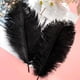 thumbnail image 4 of Piokio 20 plumas de avestruz negras naturales de 10 a 12 pulgadas (25 a 30 cm) a granel para decoraciones de Halloween, centros de mesa de bodas, decoraciones de Gatsby, 4 of 4