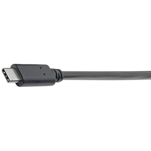 Tripp Lite U428-06N-F USB 3.1 Type C Female to Type A Male Adapter Cable