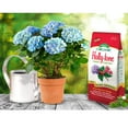 Espoma Organic Hollytone for Evergreen & Azalea Plant Food, 434