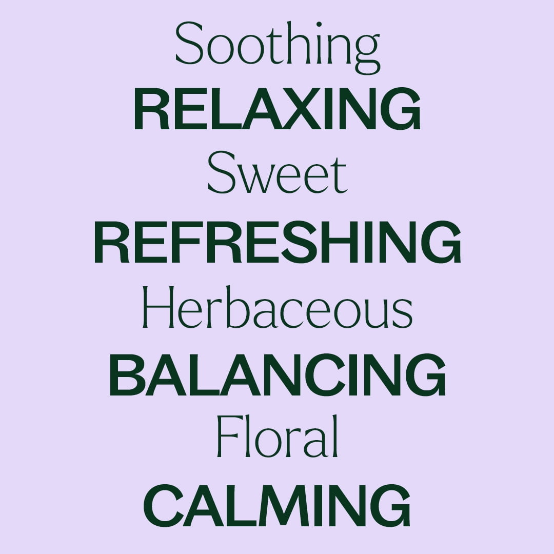 Plant Therapy Lavandin Essential Oil 100 mL (3.3 oz) 100% Pure, Undiluted, Natural Aromatherapy