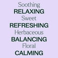 thumbnail image 4 of Plant Therapy Essential Oils Lavandin 30 mL (1 oz) 100% Pure, Undiluted, 4 of 9