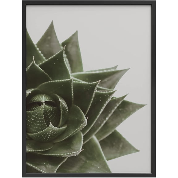 PixonSign Framed Wall Art Print Spiky Succulent Side View Nature Plants Photography Realism Modern CloseUp Relax/Calm Multicolor Warm for Living Room, Bedroom, Office - 12"x16" BLACK