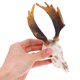 thumbnail image 5 of unbranded Decorativo Para Reptiles En Resina Con De Ciervo Multicolor Para Terrarios, 5 of 8