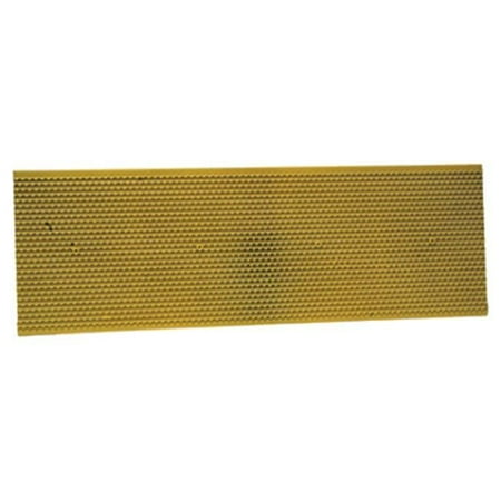 Harvest Lane Honey Plastic Single Beehive Foundation