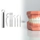 thumbnail image 3 of portátil de palillos de inoxidable con estuche de soporte de limpieza bucal Flossing colgante Palillo de para viajes Sunnimix Palillos de dientes portátiles, 3 of 8