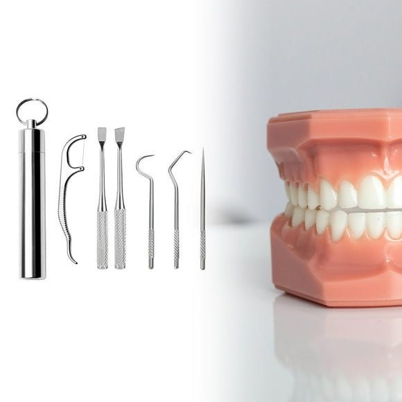 portátil de palillos de inoxidable con estuche de soporte de limpieza bucal Flossing colgante Palillo de para viajes Colco Palillos de dientes portátiles
