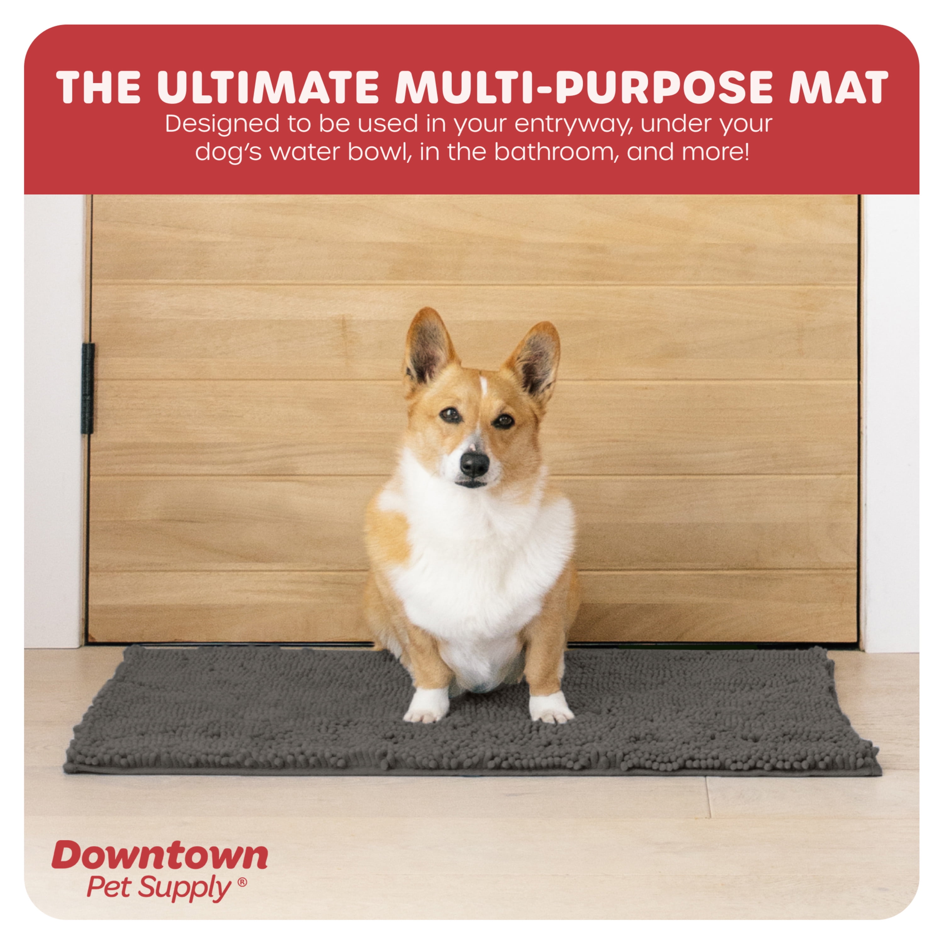  Door Mat Indoor, Dog Mats for Muddy Paws Super