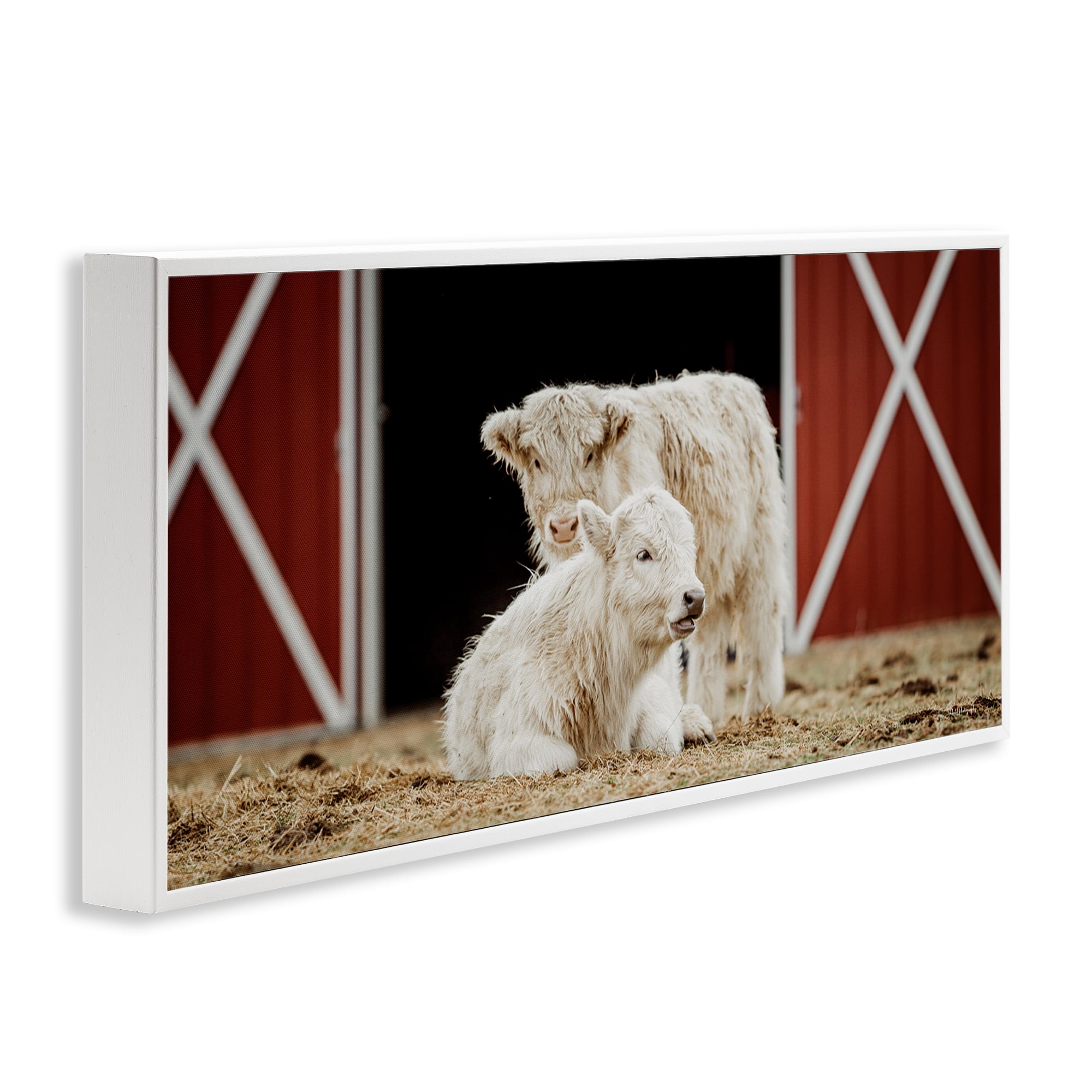 Stupell Industries White Cattle Barn Animals & Insects Photography White Framed Art Print Wall Art, 24 x 10