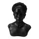 thumbnail image 2 of Soporte de exhibición de joyas, busto, organizador de colgantes, maniquí, modelo de busto, escultura para Negro, 2 of 9