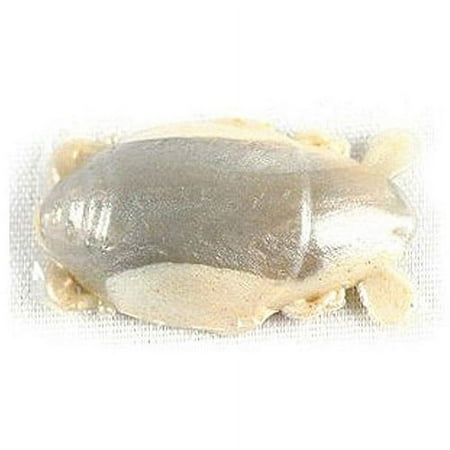 UPC: 0028632195895 | Berkley Gulp! Saltwater Sand Crab Flea Soft Bait