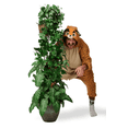 thumbnail image 3 of Exotic Cat Kigurumi (X-Tall), 3 of 6