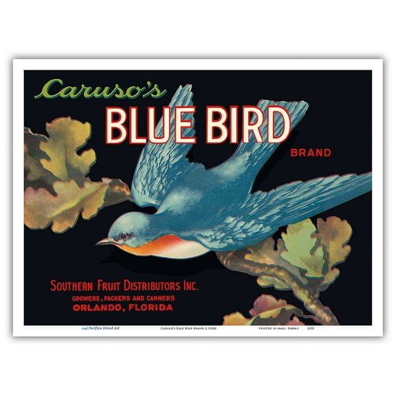 Caruso’s Blue Bird Brand - Vintage Fruit Crate Label c.1930s - Master Art Print (Unframed) 9in x 12in