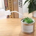 thumbnail image 1 of 500ml Succulents Plant Watering Can Plastic Beak Squeezing Bottle With Scale, 1 of 8