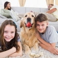 thumbnail image 4 of Interactive Dog Toys Dog 2025 Upgrade Large Automatic Moving Dogs Smart Rolling Jumping For Dogs Cats Vibrating Pet, 4 of 7
