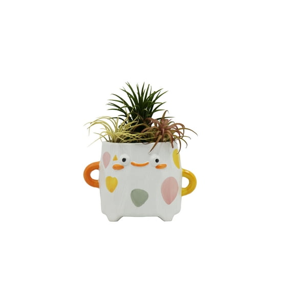 Cotta Planters Cute Ceramic Cartoon Face Planter Pot with Handles – Small Decorative Pot for Succulents, Cacti, Air Plants, or Desk Storage, 3.75" x 4"