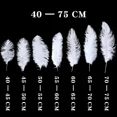 thumbnail image 5 of 10 piezas/lote de plumas de avestruz blancas naturales para manualidades, 15-45 cm, decoración de bodas, fiestas, centros de mesa, carnaval, Plumas Deco, 5 of 5